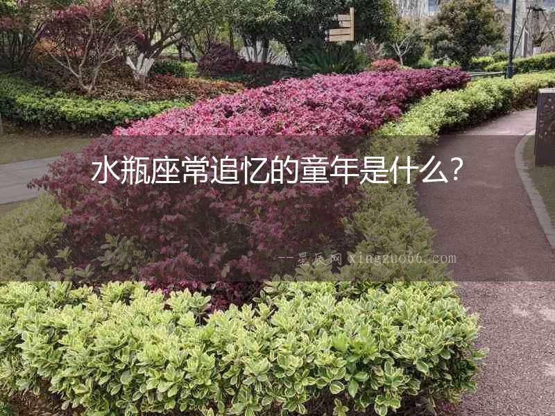 水瓶座常追憶的童年是什么？