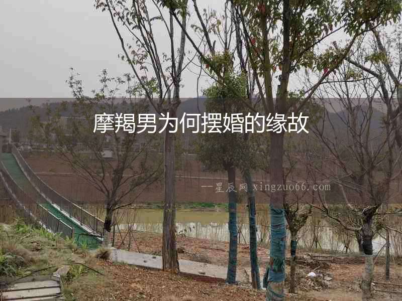 摩羯男為何擺婚的緣故