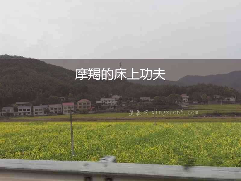 摩羯的床上功夫