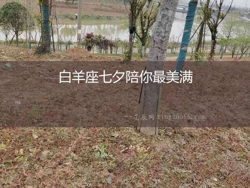 白羊座七夕陪你最美滿