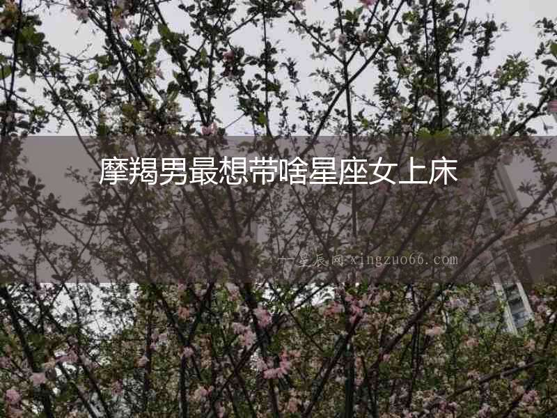 摩羯男最想帶啥星座女上床