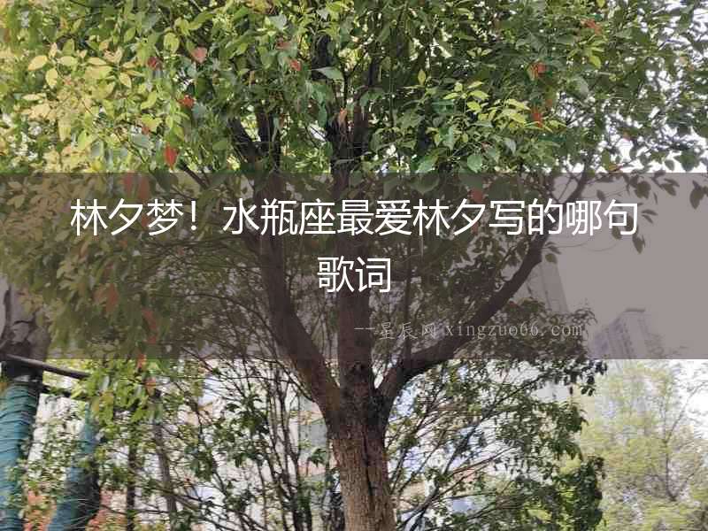 林夕夢！水瓶座最愛林夕寫的哪句歌詞