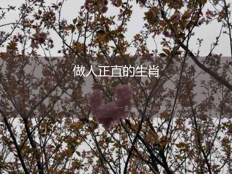 做人正直的生肖