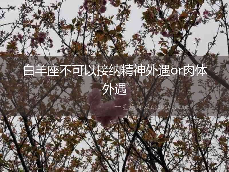 白羊座不可以接納精神外遇or肉體外遇