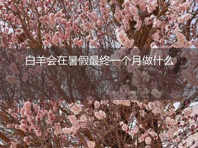 白羊會在暑假最終一個月做什么