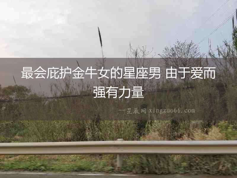 最會庇護金牛女的星座男 由于愛而強有力量