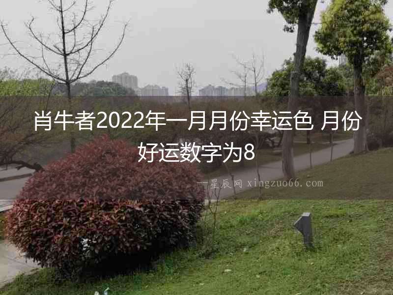 肖牛者2022年一月月份幸運色 月份好運數字為8
