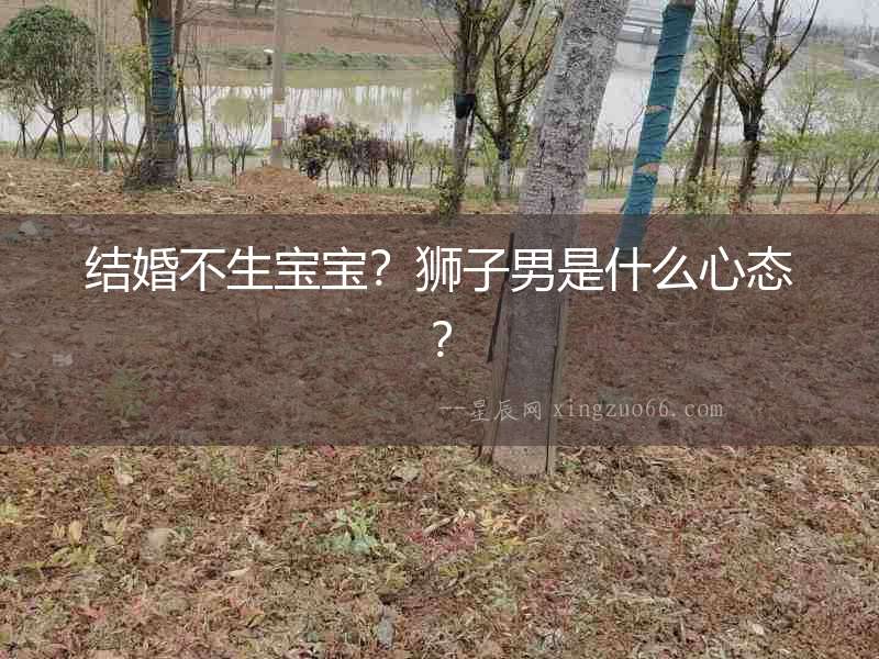 結婚不生寶寶？獅子男是什么心態？