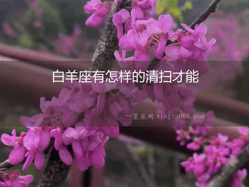 白羊座有怎樣的清掃才能