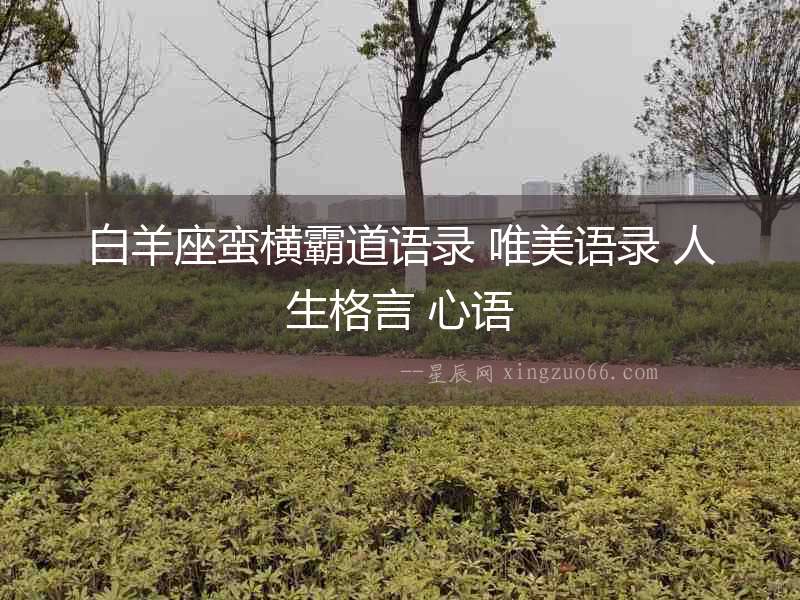 白羊座蠻橫霸道語錄 唯美語錄 人生格言 心語