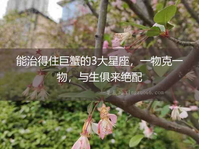 能治得住巨蟹的3大星座，一物克一物，與生俱來絕配