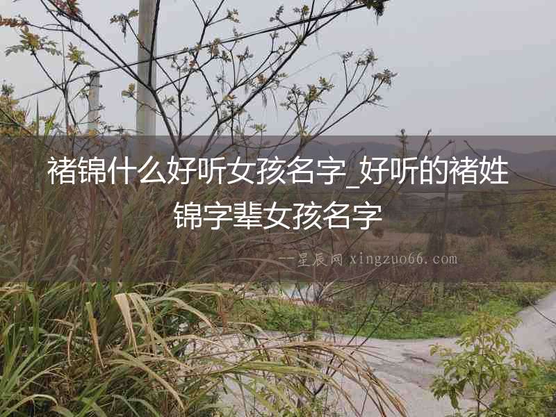 褚錦什么好聽女孩名字_好聽的褚姓錦字輩女孩名字