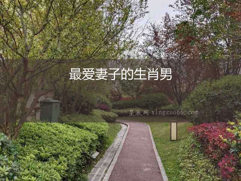 最愛妻子的生肖男
