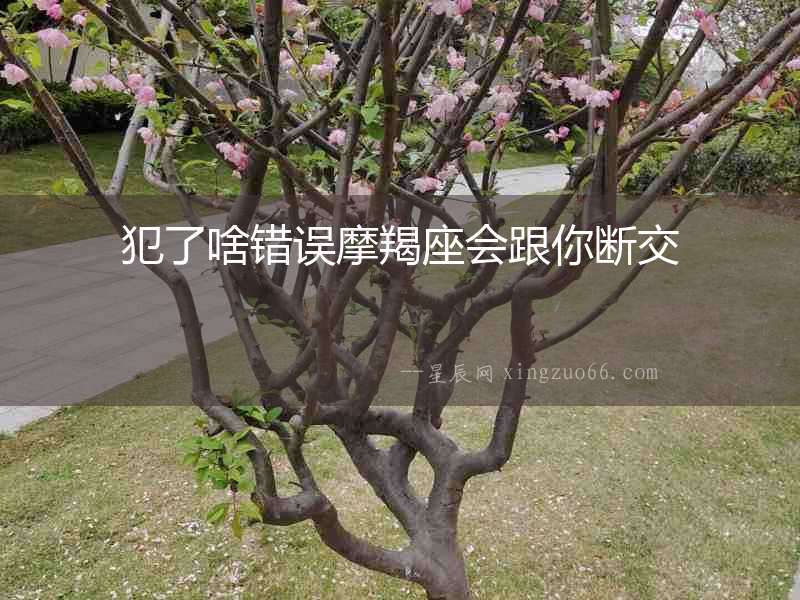 犯了啥錯誤摩羯座會跟你斷交