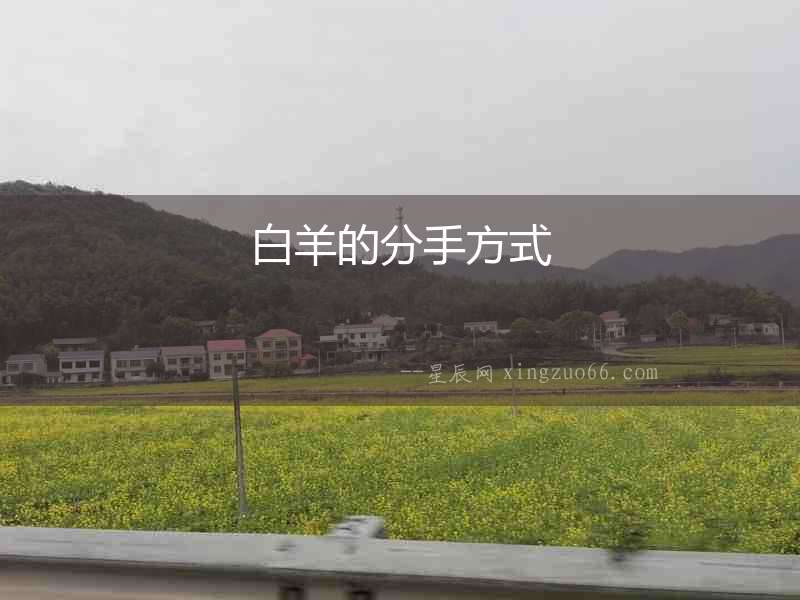 白羊的分手方式
