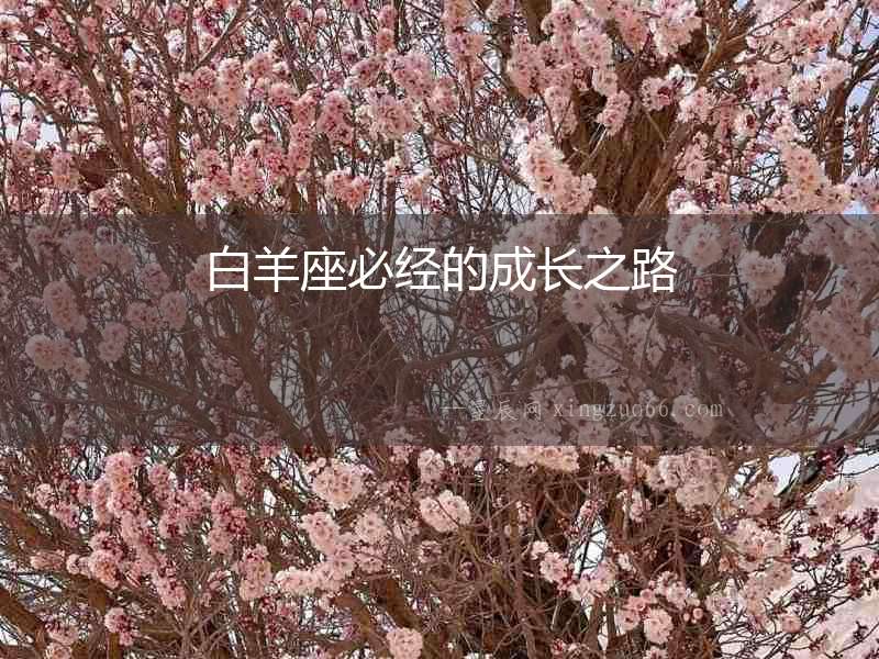白羊座必經的成長之路