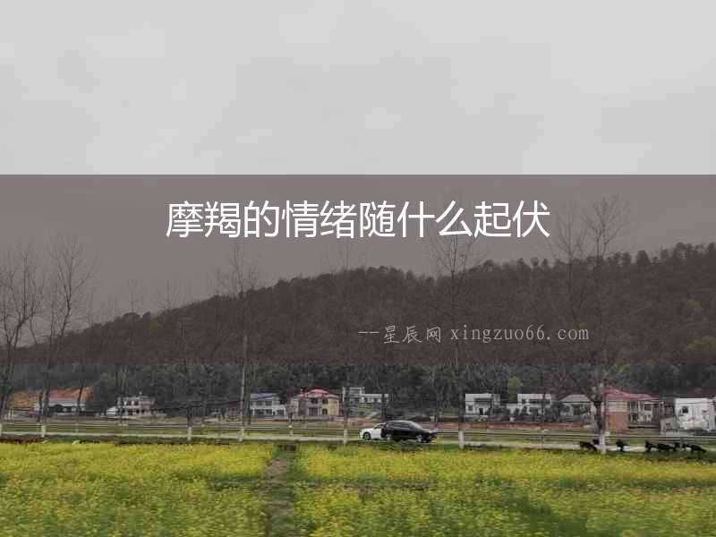 摩羯的情緒隨什么起伏