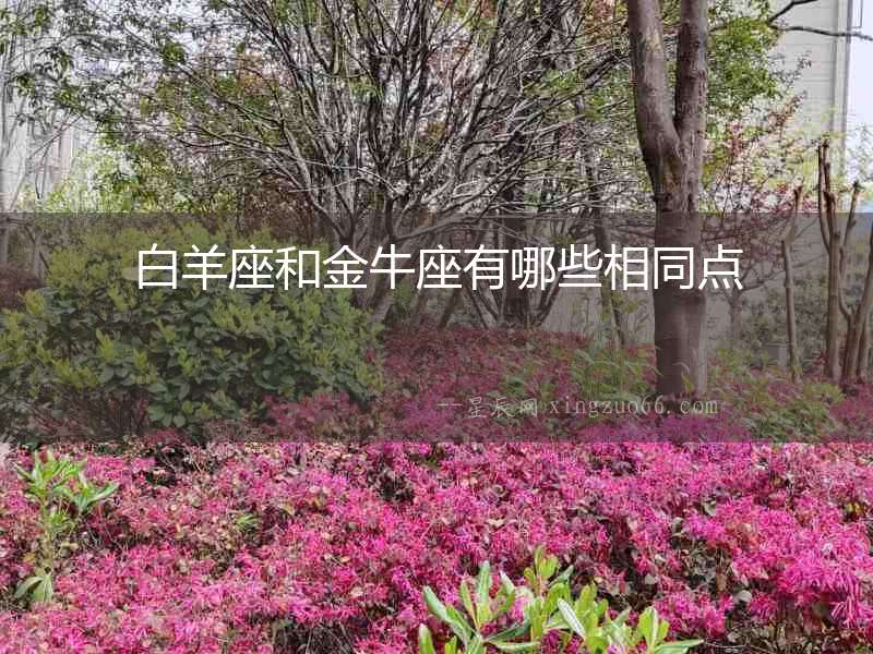 白羊座和金牛座有哪些相同點