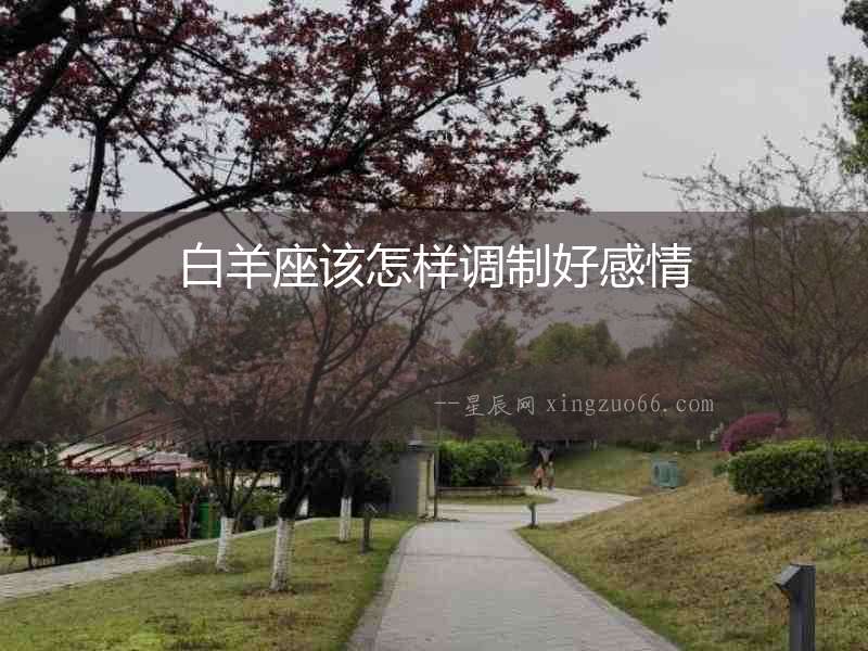 白羊座該怎樣調制好感情