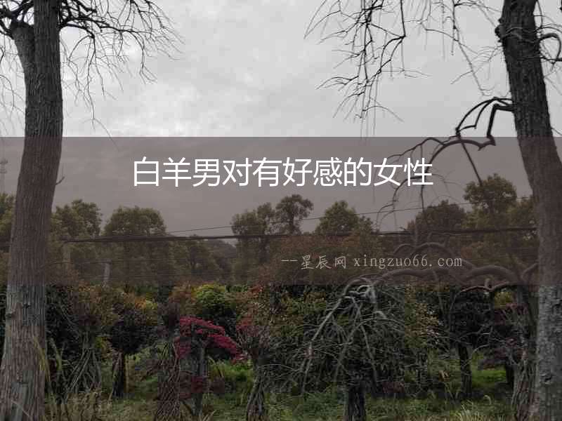白羊男對有好感的女性