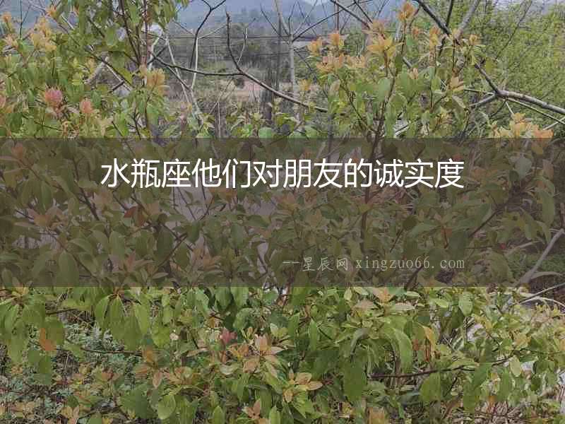 水瓶座他們對朋友的誠實度