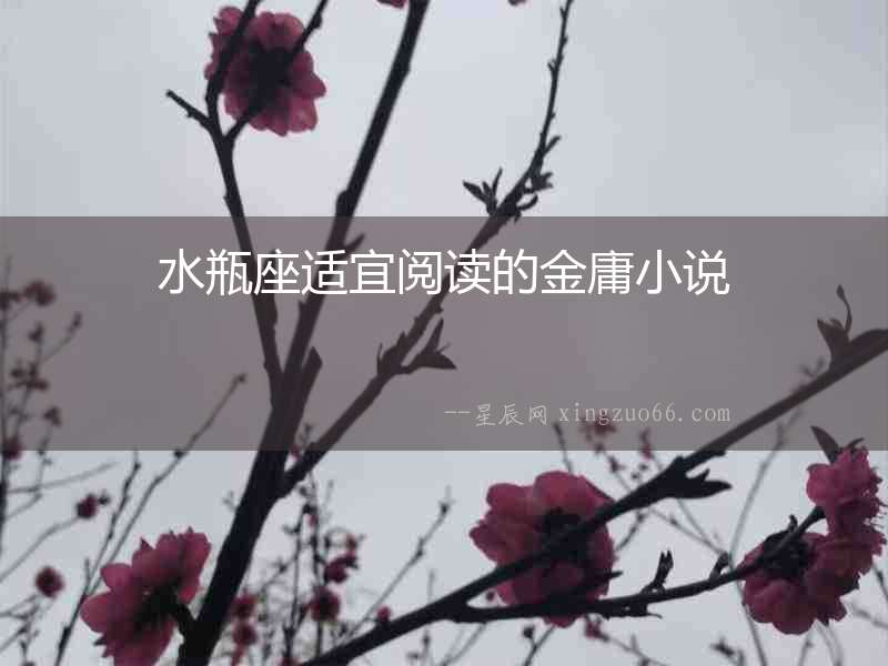 水瓶座適宜閱讀的金庸小說(shuō)