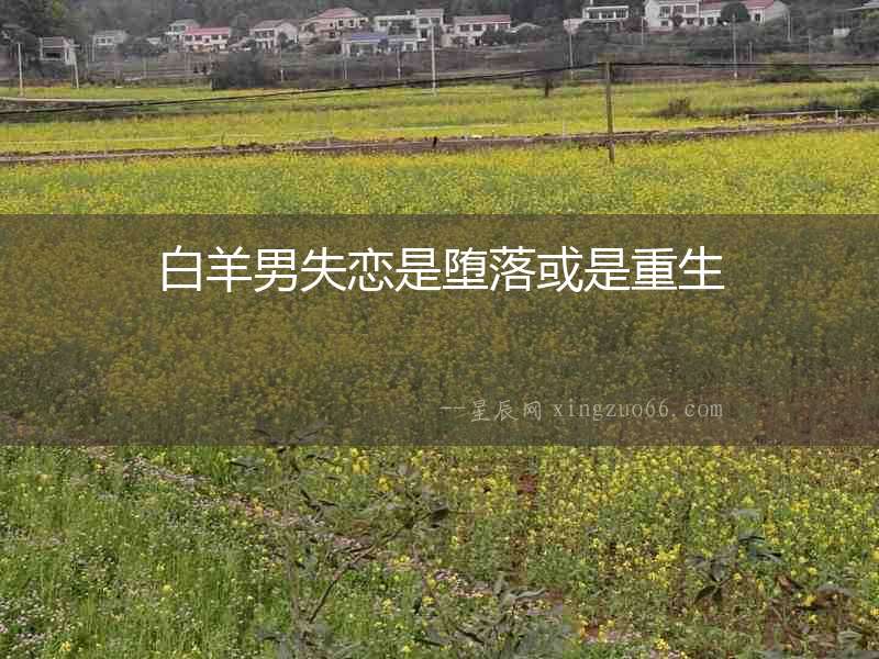 白羊男失戀是墮落或是重生