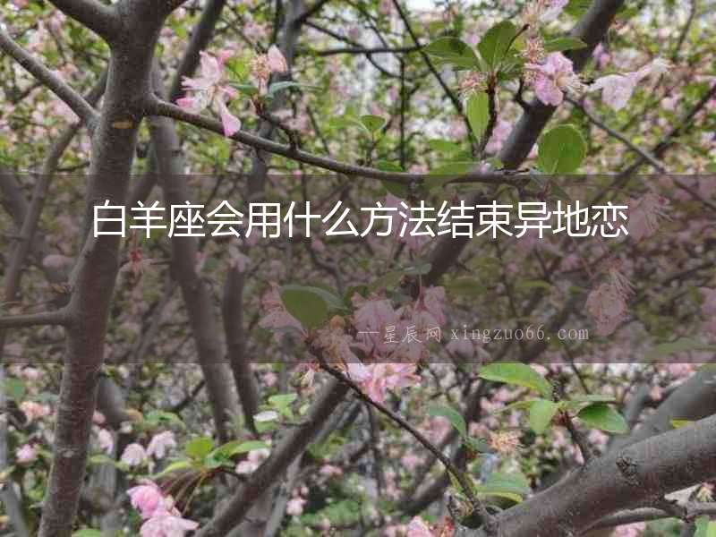 白羊座會用什么方法結束異地戀