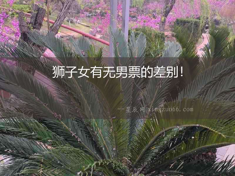 獅子女有無男票的差別！