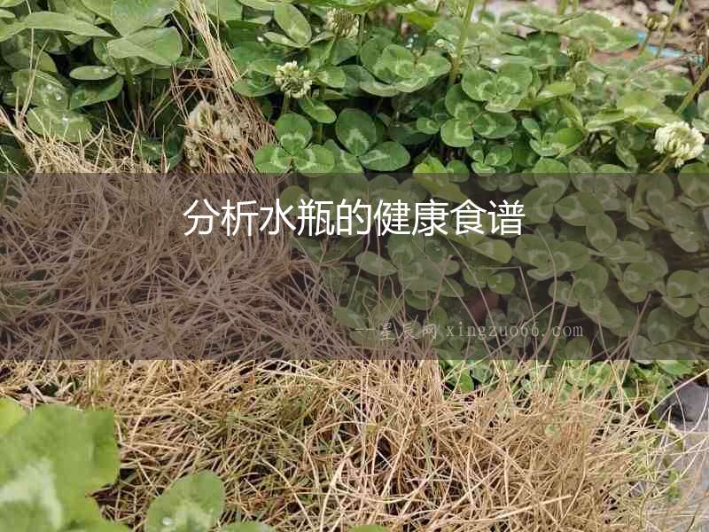 分析水瓶的健康食譜