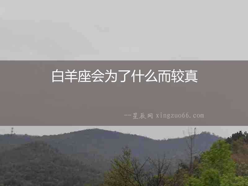 白羊座會為了什么而較真