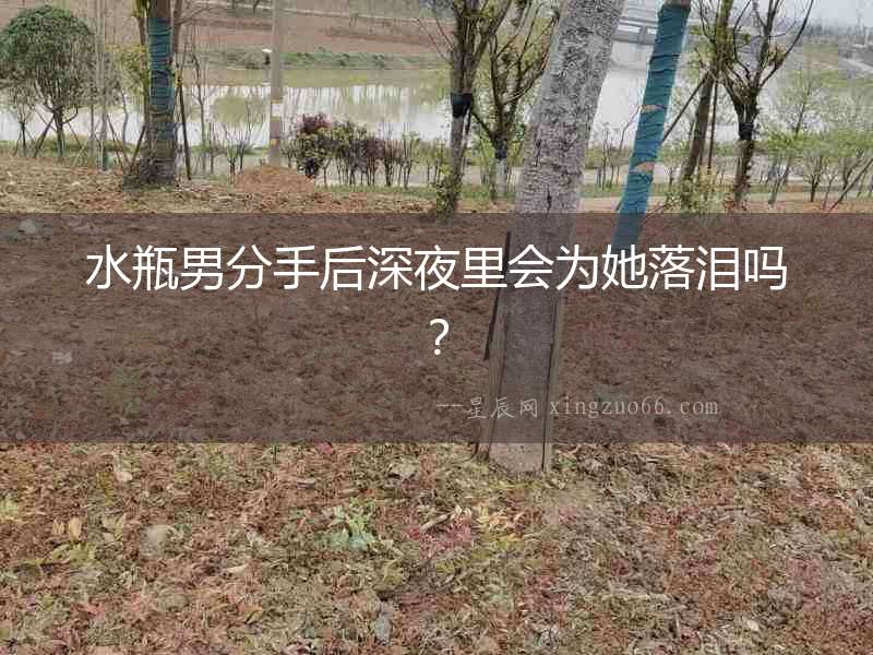 水瓶男分手后深夜里會為她落淚嗎？