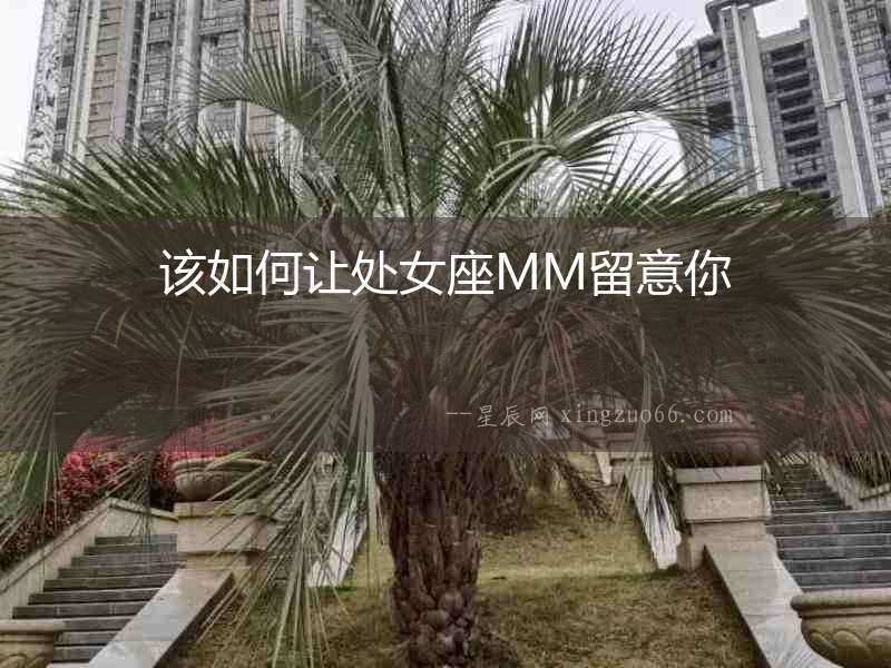 該如何讓處女座MM留意你