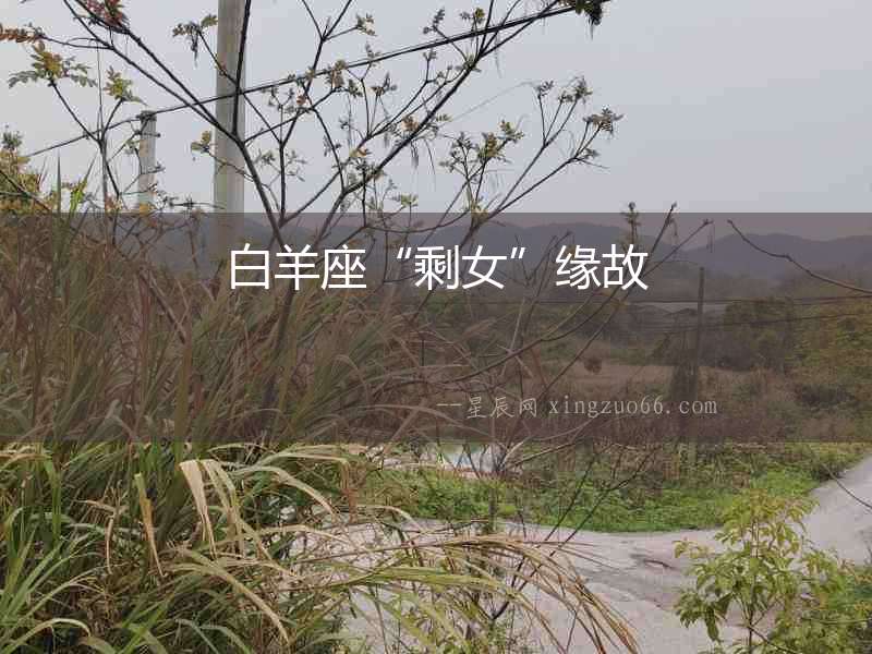 白羊座“剩女”緣故