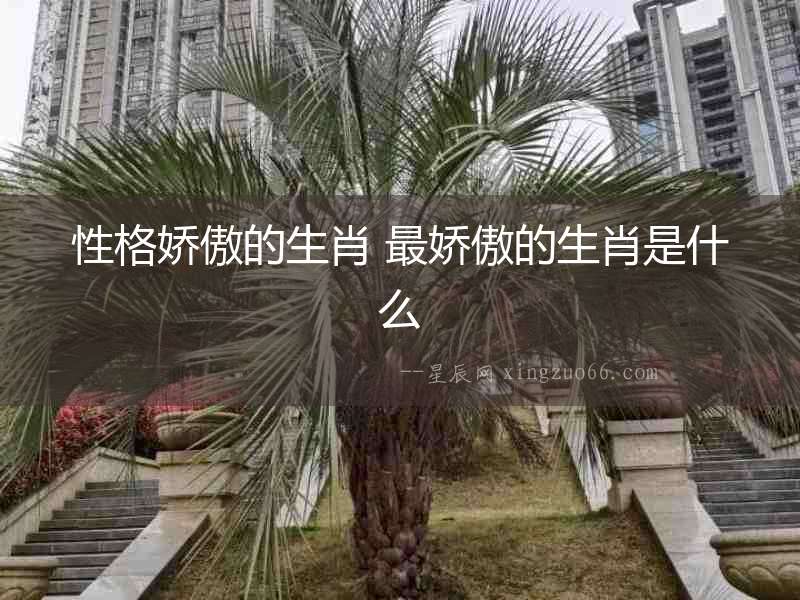 性格嬌傲的生肖 最嬌傲的生肖是什么