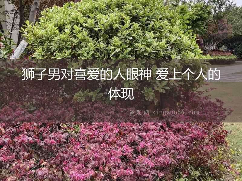 獅子男對喜愛的人眼神 愛上個人的體現