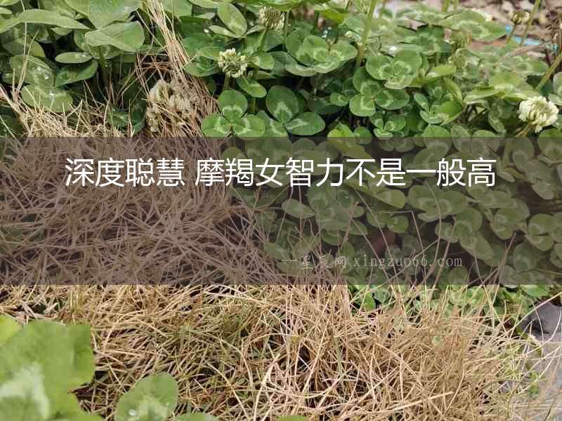 深度聰慧 摩羯女智力不是一般高