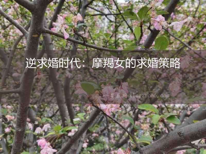 逆求婚時代：摩羯女的求婚策略