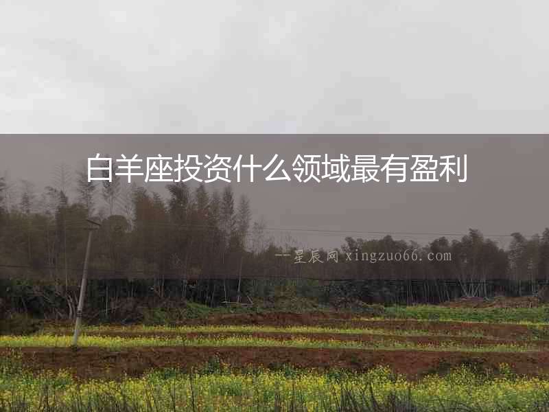 白羊座投資什么領(lǐng)域最有盈利
