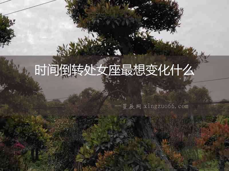 時間倒轉(zhuǎn)處女座最想變化什么