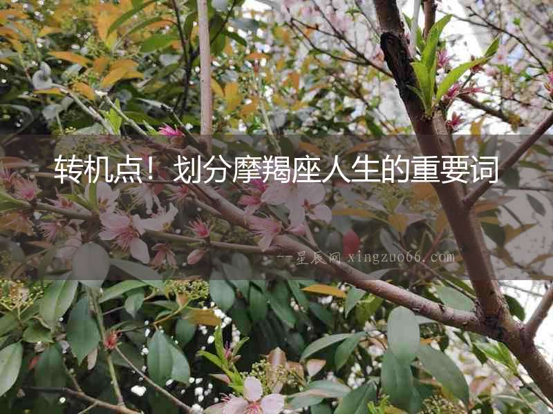 轉機點！劃分摩羯座人生的重要詞