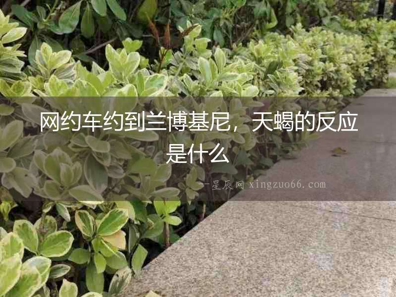 網約車約到蘭博基尼，天蝎的反應是什么