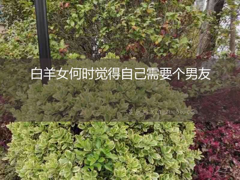 白羊女何時覺得自己需要個男友