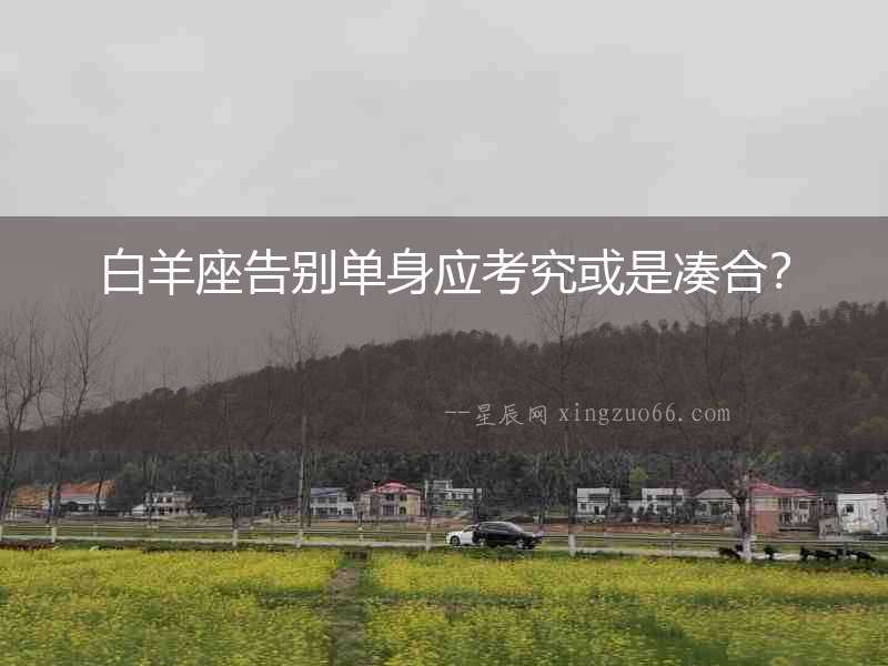 白羊座告別單身應考究或是湊合？
