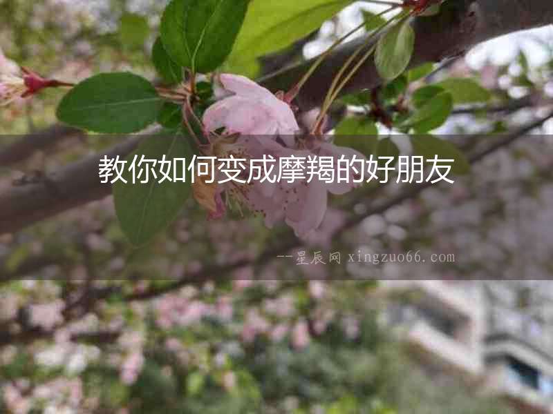 教你如何變成摩羯的好朋友