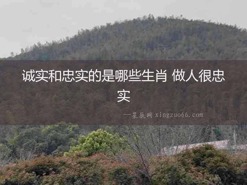 誠實和忠實的是哪些生肖 做人很忠實