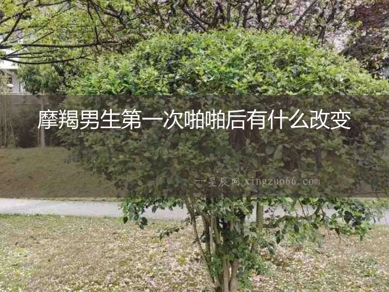 摩羯男生第一次啪啪后有什么改變