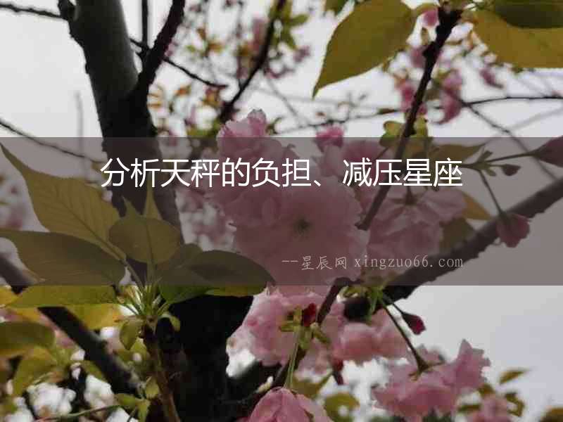 分析天秤的負擔、減壓星座