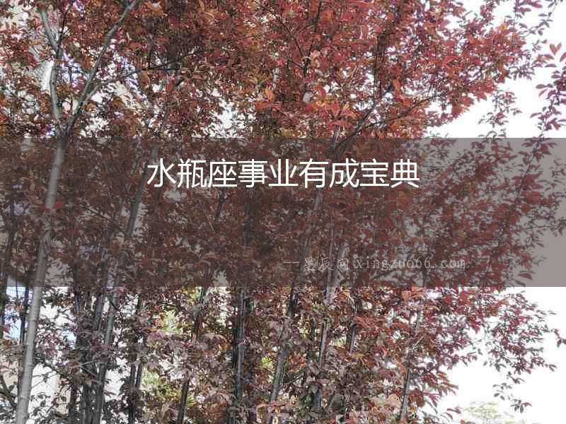 水瓶座事業有成寶典