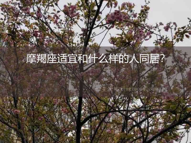 摩羯座適宜和什么樣的人同居？